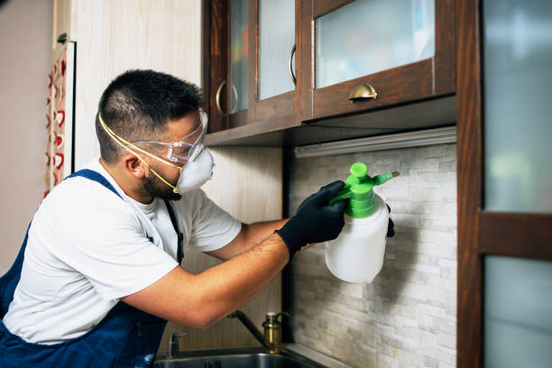 Reliable Ellwood City, PA Pest Control Solutions