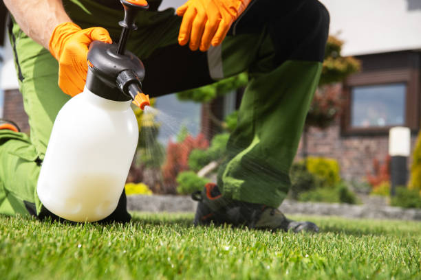 Best Local Pest Control Services  in Ellwood City, PA
