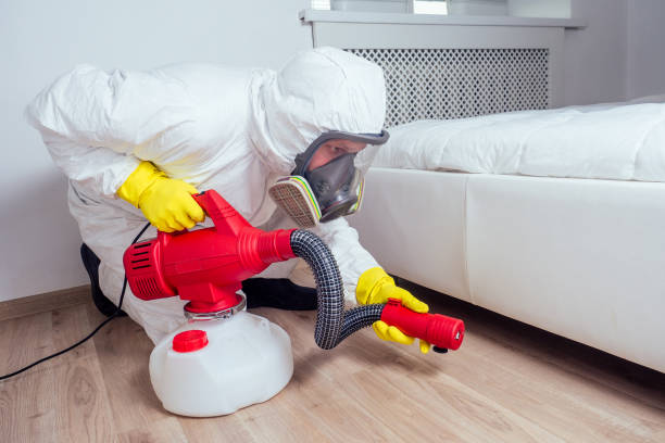 Best Local Pest Control Services  in Ellwood City, PA