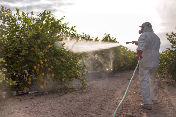 Best Residential Pest Control  in Ellwood City, PA