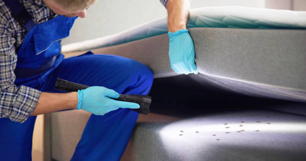 Best Mosquito Control Services  in Ellwood City, PA