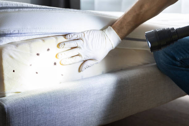 Best Pest Prevention Services  in Ellwood City, PA