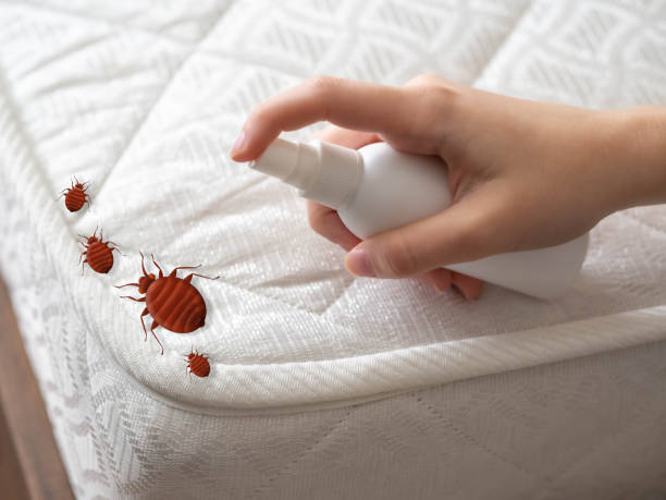 Best Affordable Pest Control Services  in Ellwood City, PA