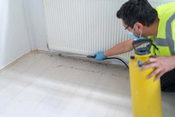 Best Ant Control Services  in Ellwood City, PA