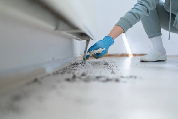 Best Residential Pest Control  in Ellwood City, PA